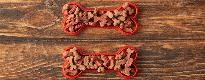 Does Vitamin B12 Increase Appetite in Dogs