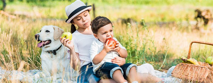 Happy siblings sitting on blanket at picnic and eating apples