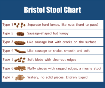 Bristol Stool Chart