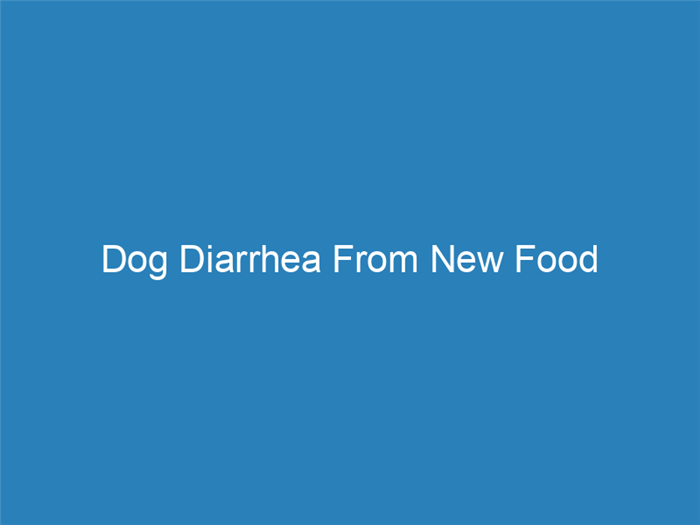 dog diarrhea from new food