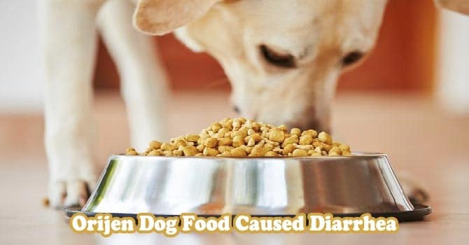 Orijen dog food caused diarrhea