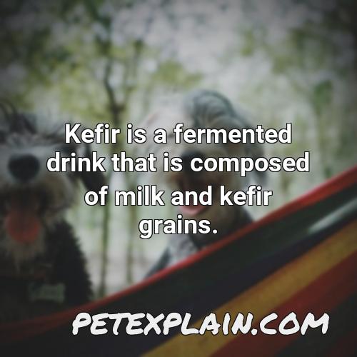 kefir is a fermented drink that is composed of milk and kefir grains