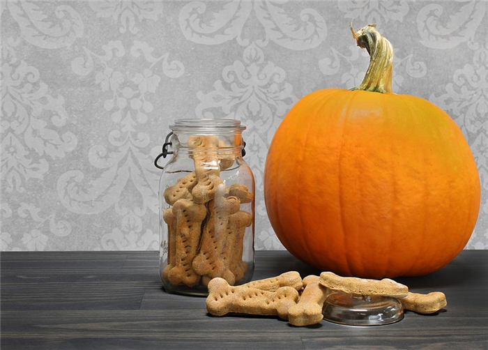 Homemade pumpkin dog biscuits in a bone shape in a canning jar, and on counter, next to a pumpkin.