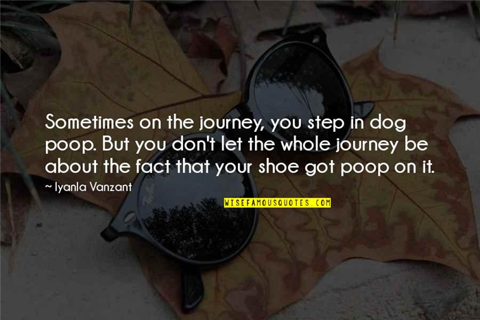 Dog Poop Quotes By Iyanla Vanzant: Sometimes on the journey, you step in dog