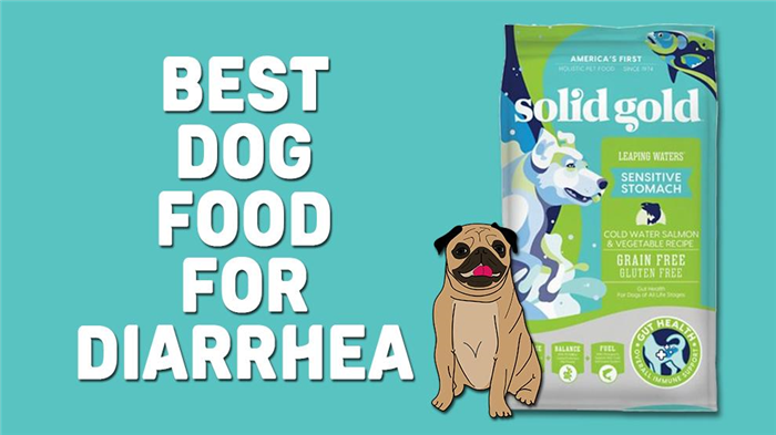 Best Dog Food For Diarrhea