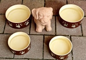 Dog bowls. | The Pampered Pup