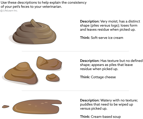 diarrhea_levels_part_of_fecal_decription_chart_2018-01