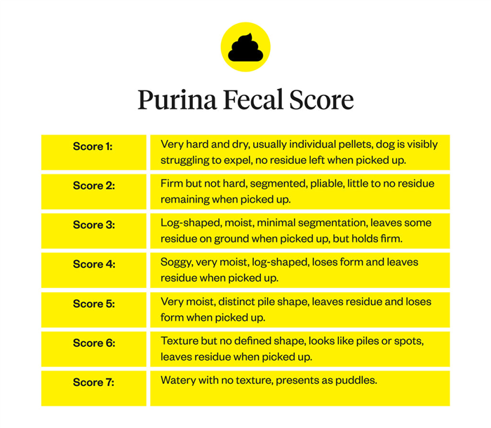 Graphic with Purina fecal score